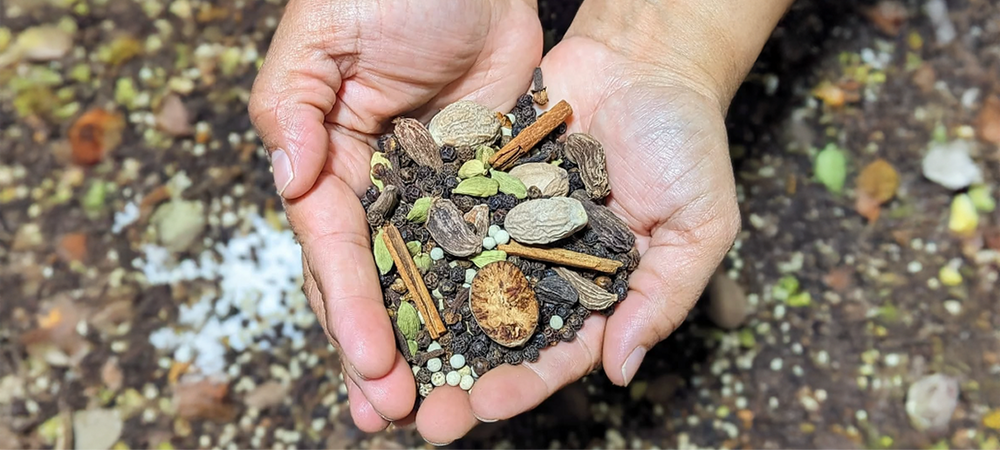 Two cupped hands holding whole spices, cinnamon, cardamom and peppercorns